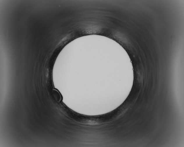 X0000083000308200703020909