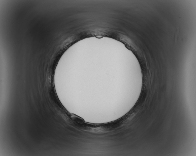 X0000083000309200703020909