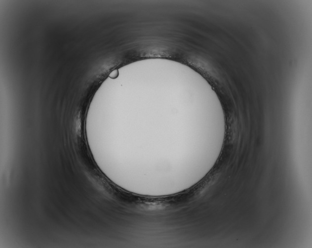 X0000083000310200703020909