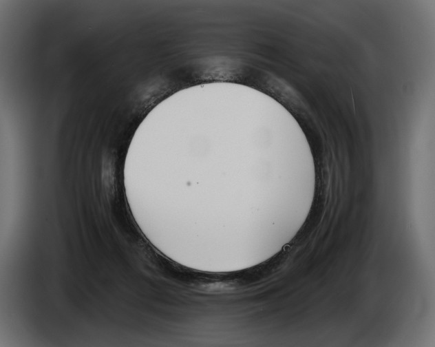 X0000083000312200703020909