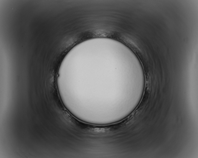 X0000083000314200703020909