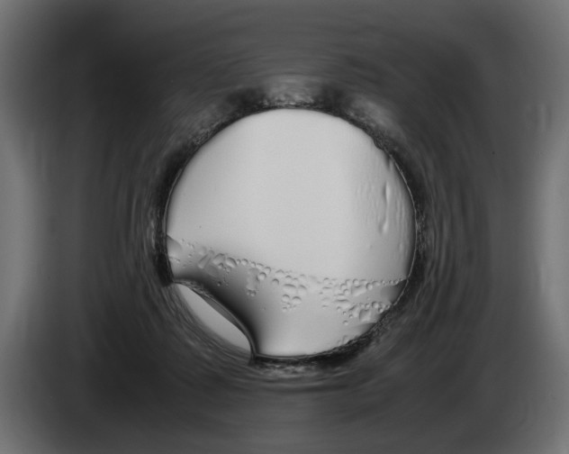 X0000083000315200703020909