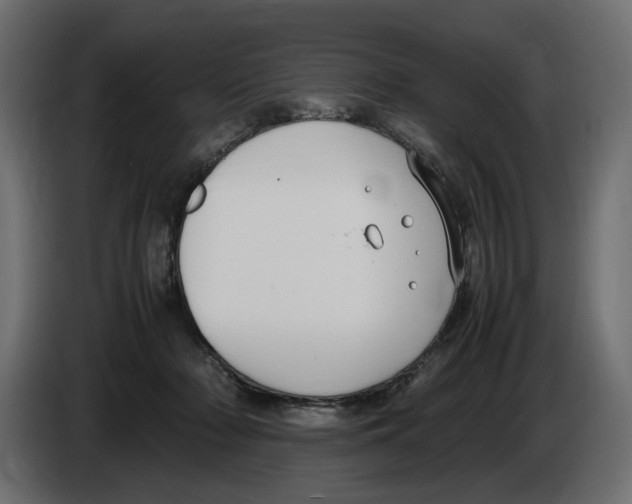 X0000083000318200703020909