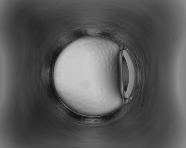 X0000083000319200703020909