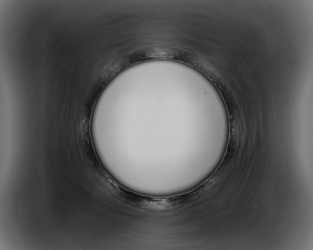 X0000083000322200703020909