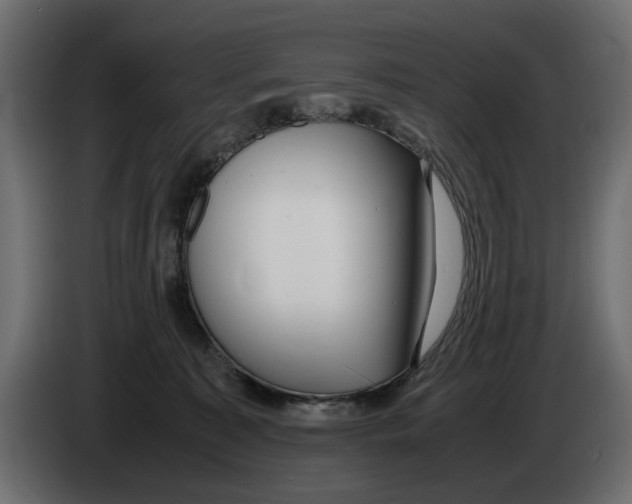 X0000083000323200703020909