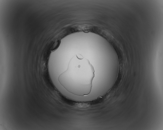 X0000083000327200703020909