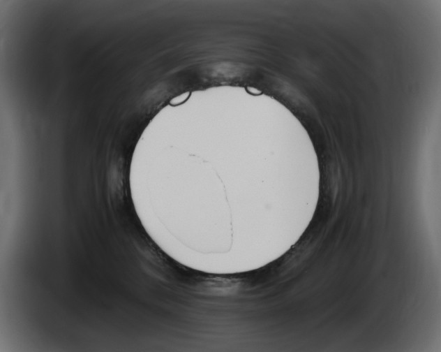 X0000083000328200703020909