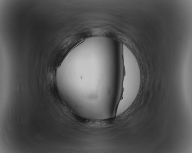 X0000083000329200703020909