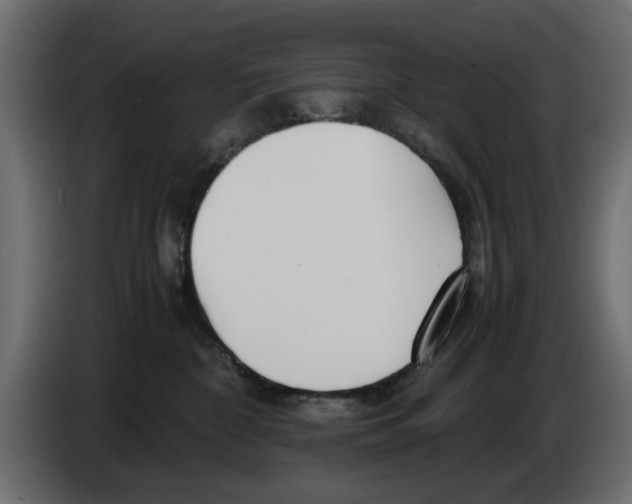 X0000083000332200703020909