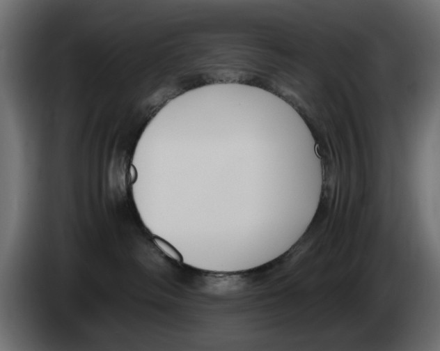 X0000083000334200703020909