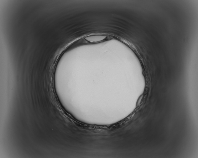 X0000083000337200703020908