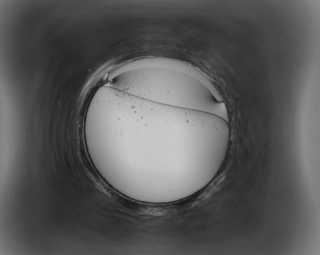 X0000083000341200703020909