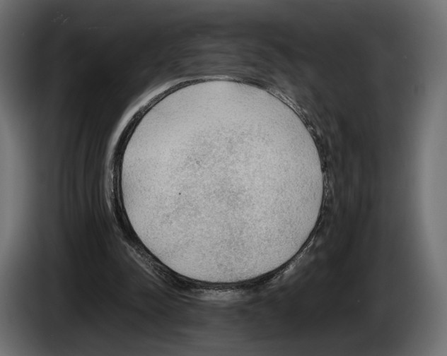 X0000083000342200703020909