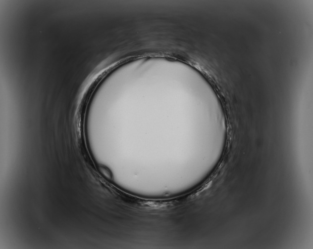 X0000083000343200703020909