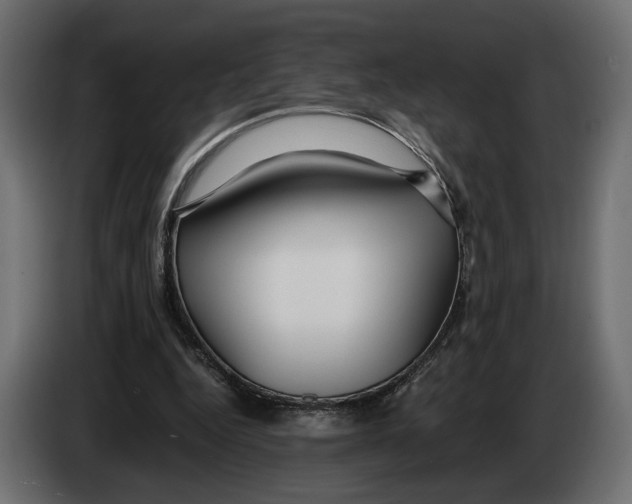 X0000083000344200703020909