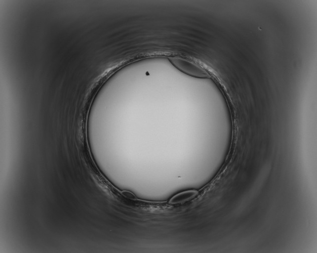 X0000083000345200703020909