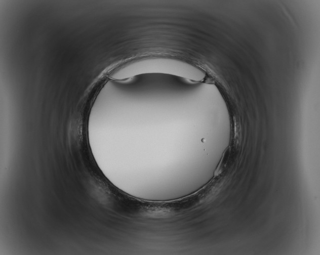 X0000083000348200703020909