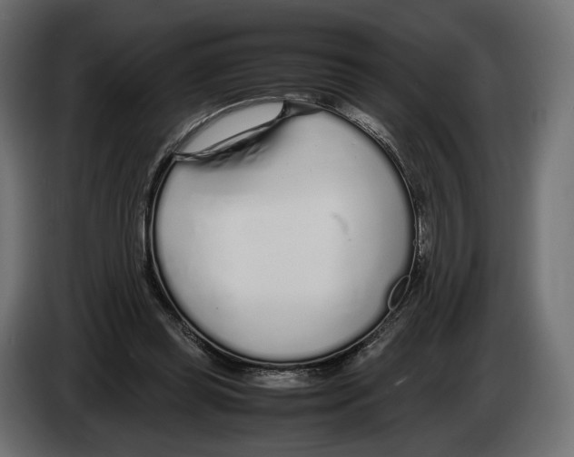 X0000083000349200703020909