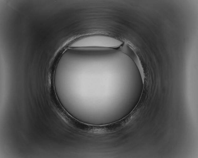 X0000083000350200703020909