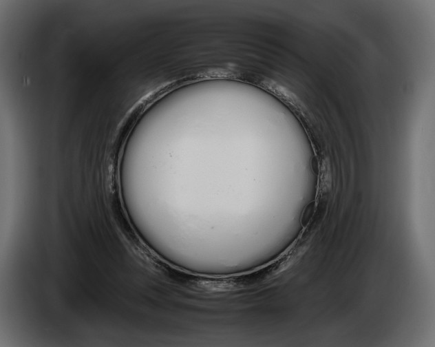 X0000083000351200703020909