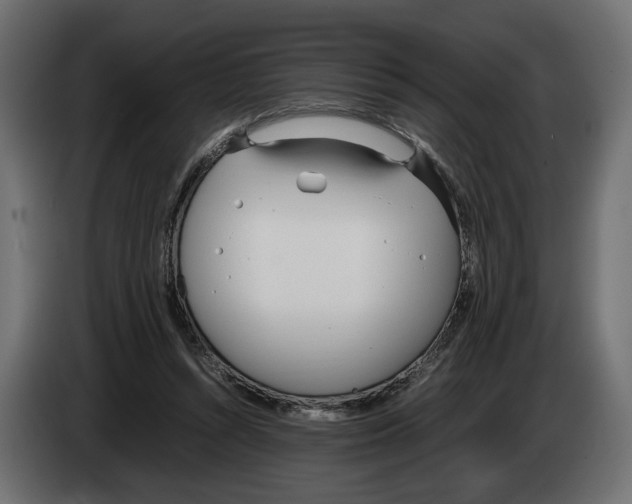 X0000083000352200703020909