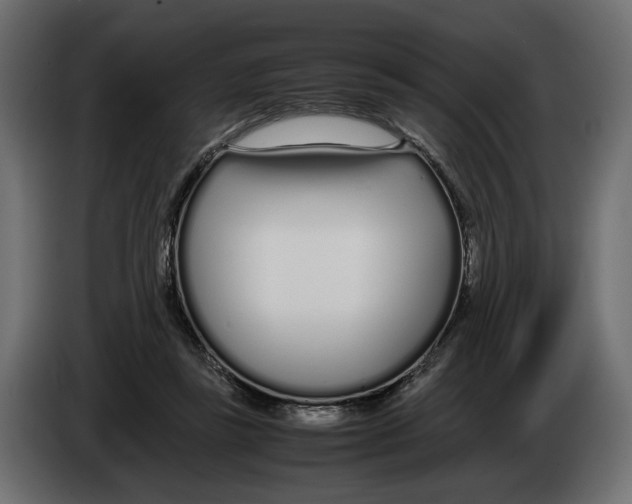 X0000083000355200703020909