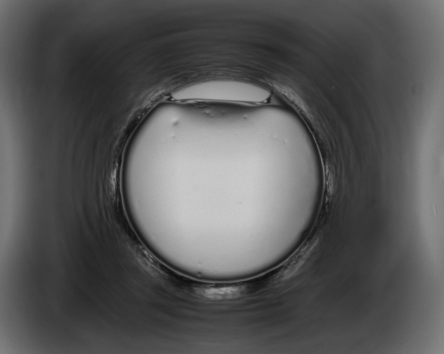 X0000083000357200703020909