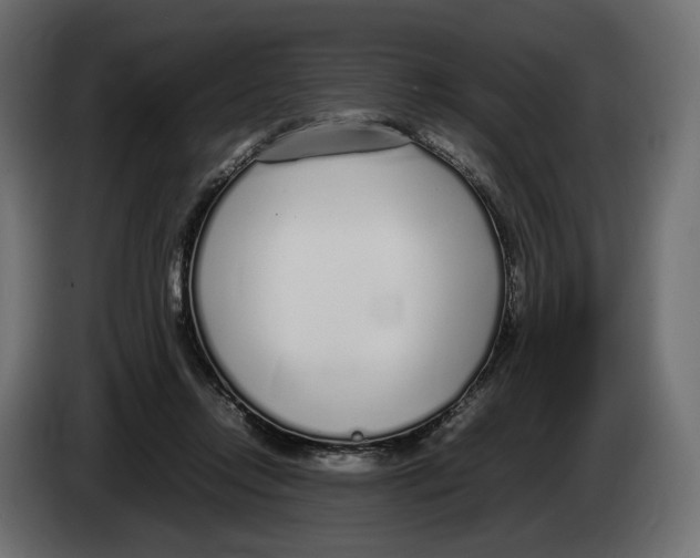 X0000083000358200703020909