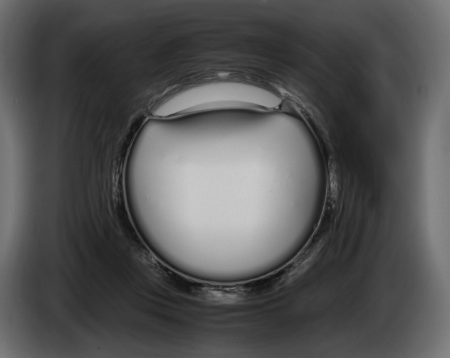 X0000083000359200703020909