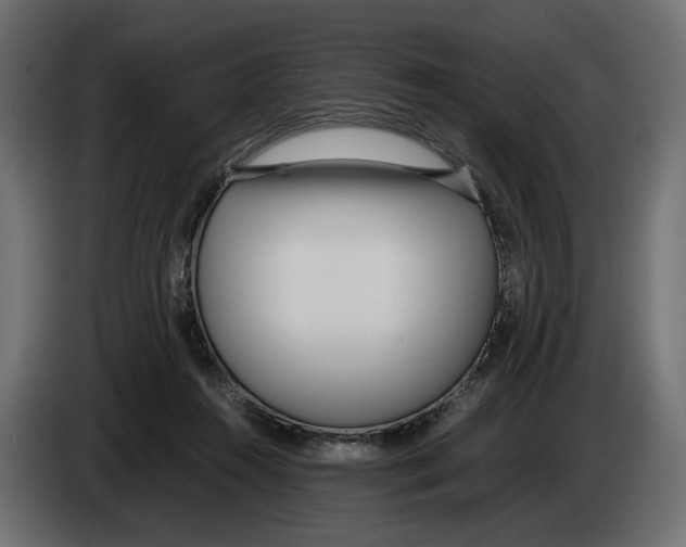 X0000083000360200703020909