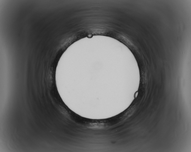 X0000083000362200703020909