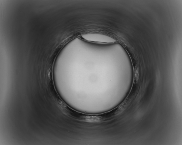 X0000083000363200703020909