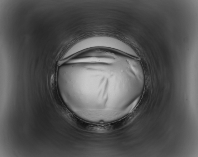 X0000083000365200703020909