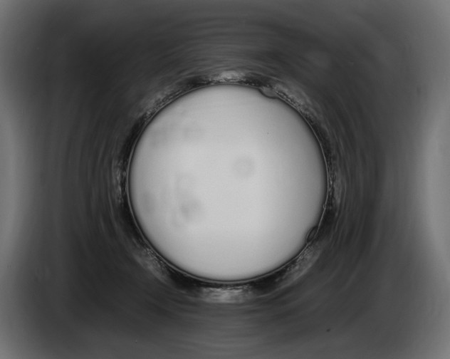 X0000083000366200703020909