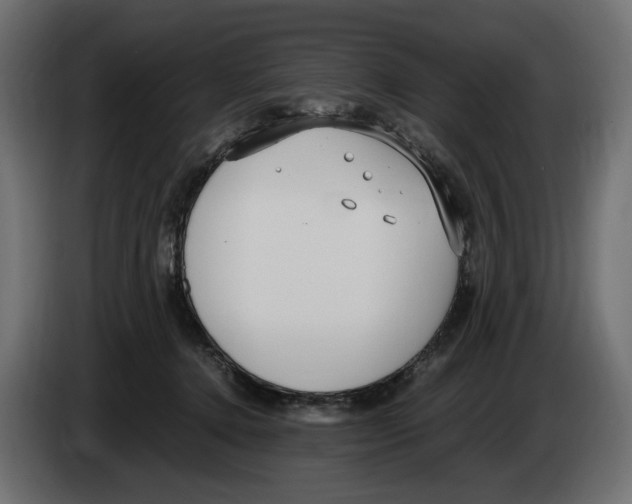 X0000083000368200703020909