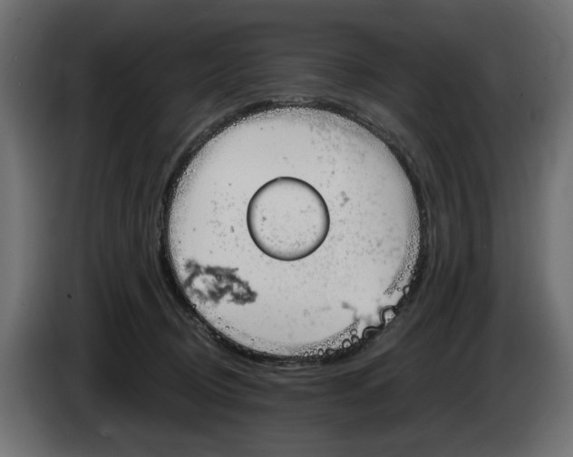 X0000083000370200703020909