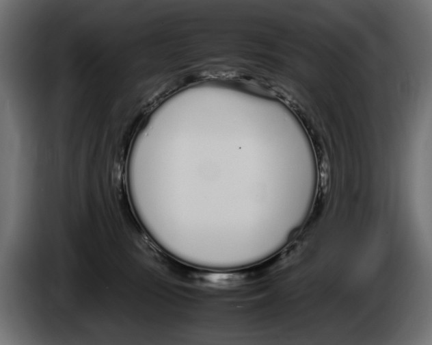 X0000083000371200703020909