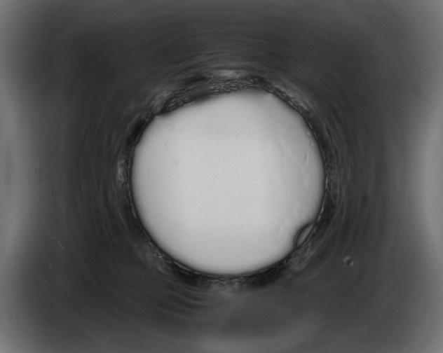 X0000083000373200703020909