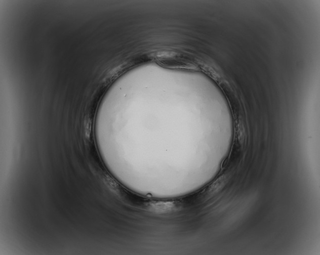 X0000083000374200703020909