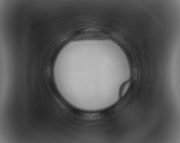 X0000083000375200703020909