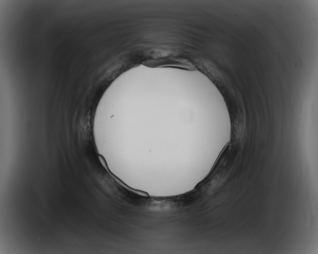 X0000083000376200703020909