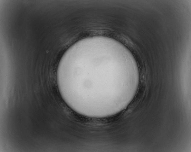 X0000083000377200703020909