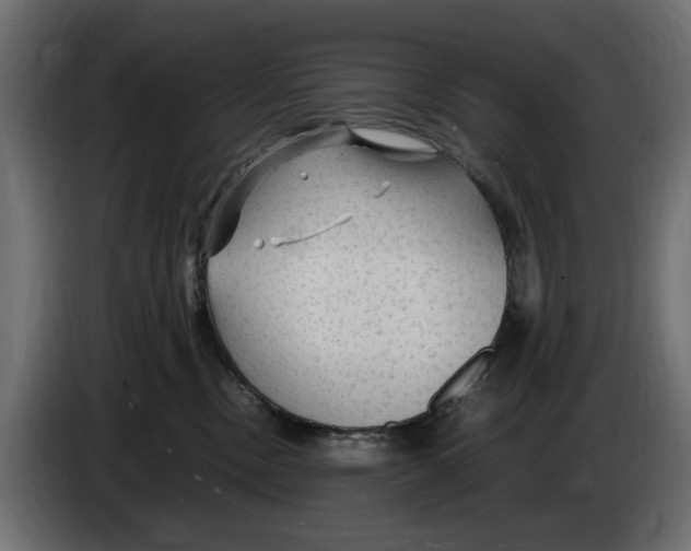 X0000083000378200703020909