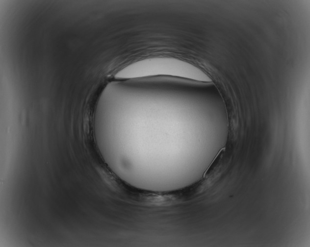 X0000083000379200703020909