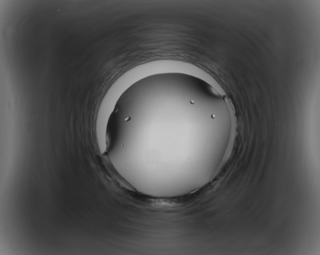 X0000083000380200703020909