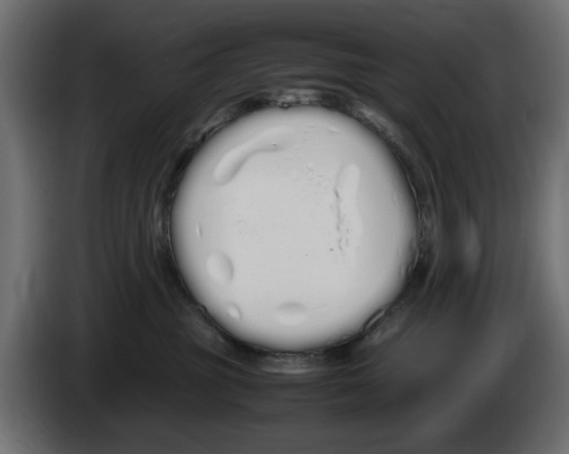 X0000083000381200703020909