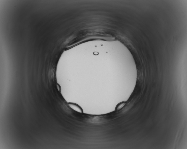 X0000083000382200703020909