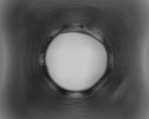 X0000083000383200703020909