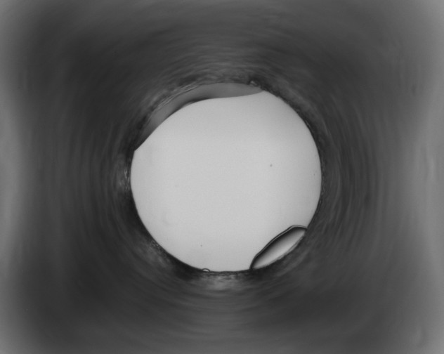 X0000083000384200703020909